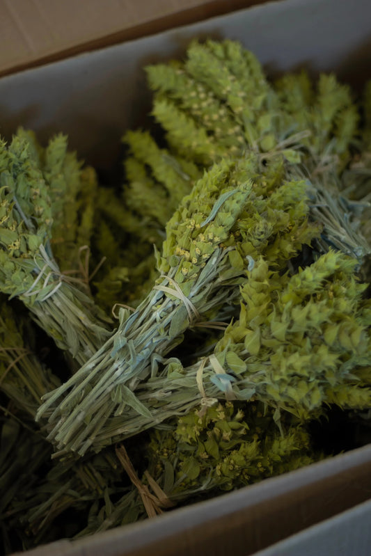 Where Olympus Tea Blooms