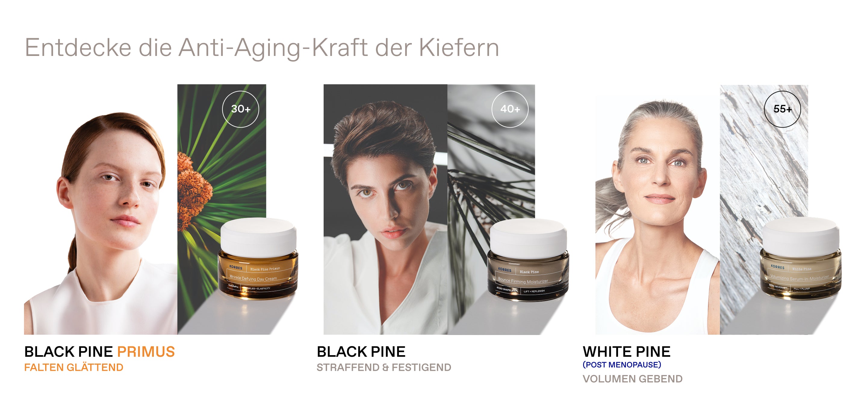 Anti-Aging Kraft der Schwarzkiefer
