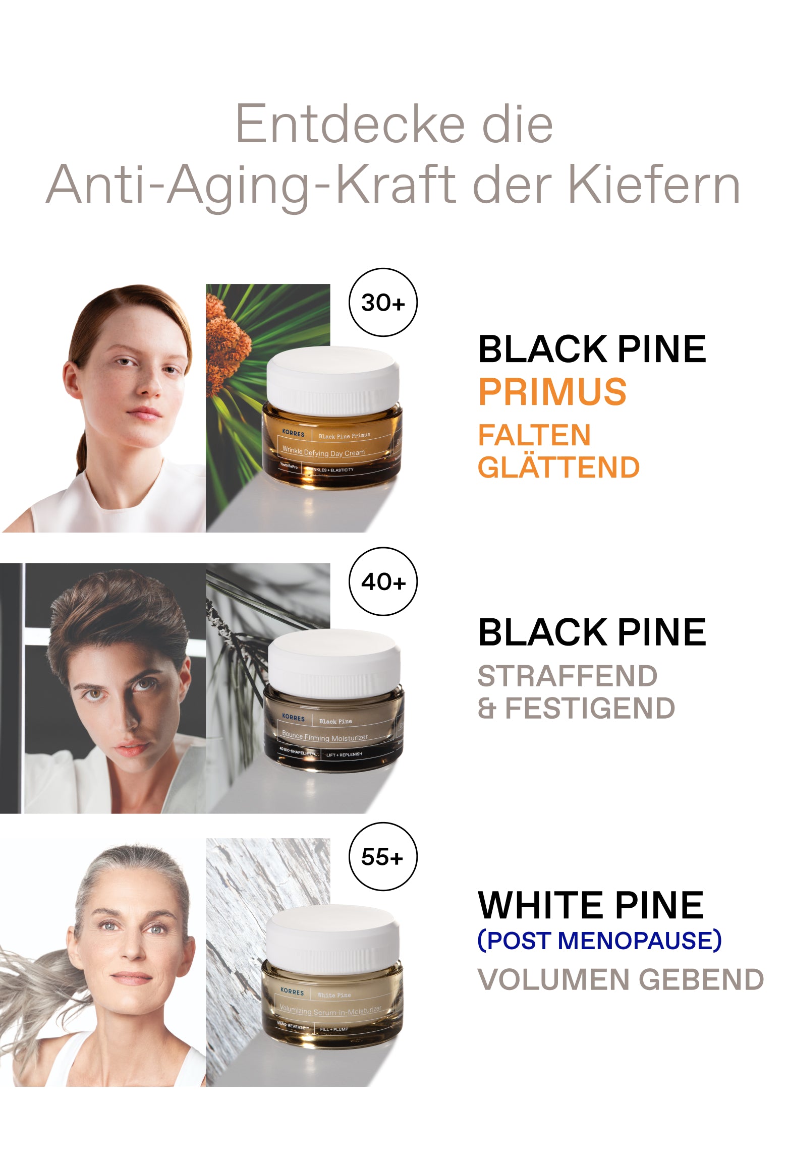 Anti-Aging Kraft der Schwarzkiefer